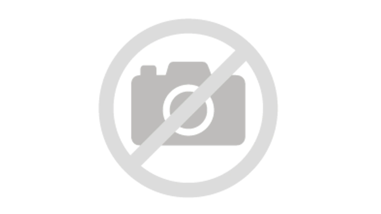 Disney+ is officially presented with an impressive catalog