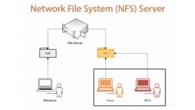 nfs server android windows n01