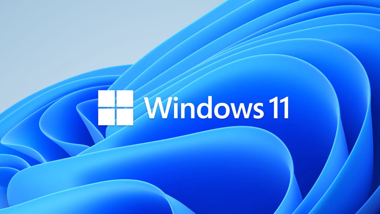 windows 11 n01