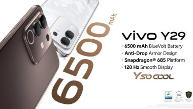 VIVO Y29