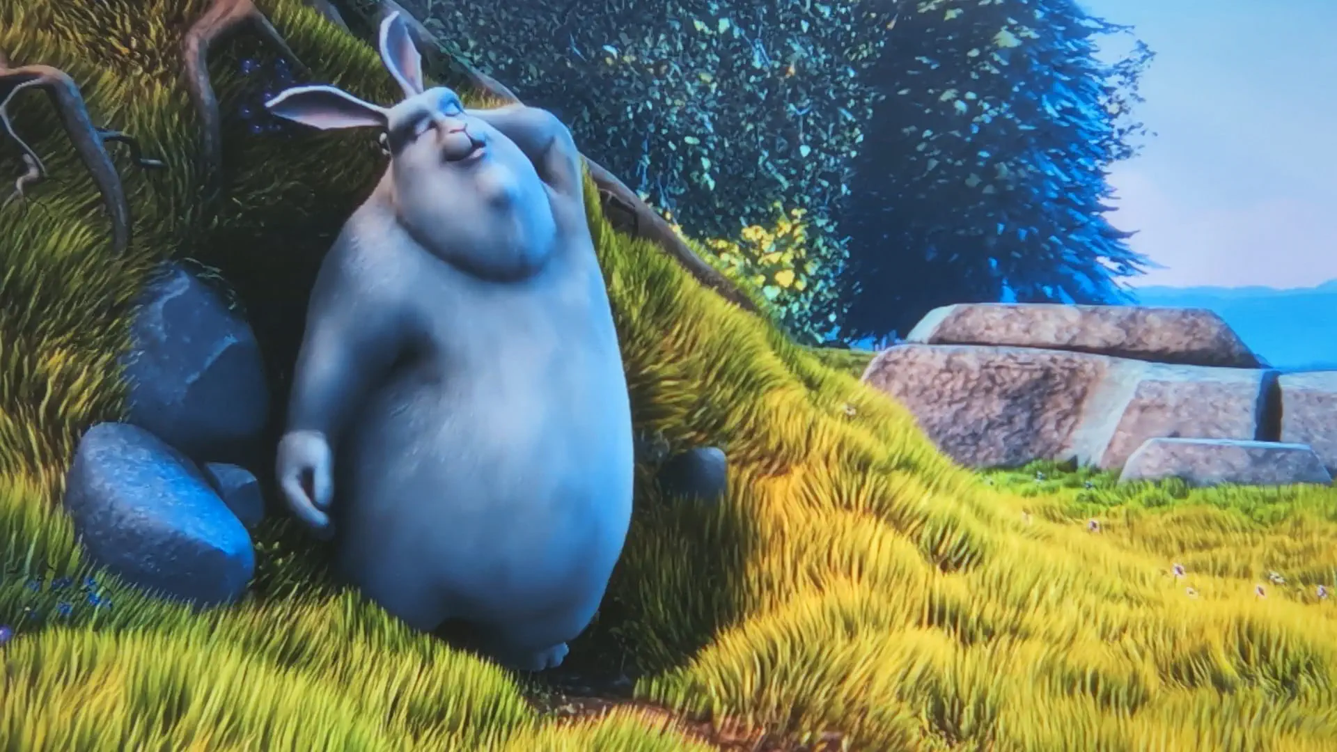 MAGCUBIC HY300 Pro review a021